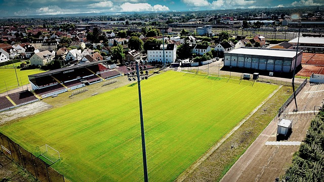 心的释放与 心的释放与