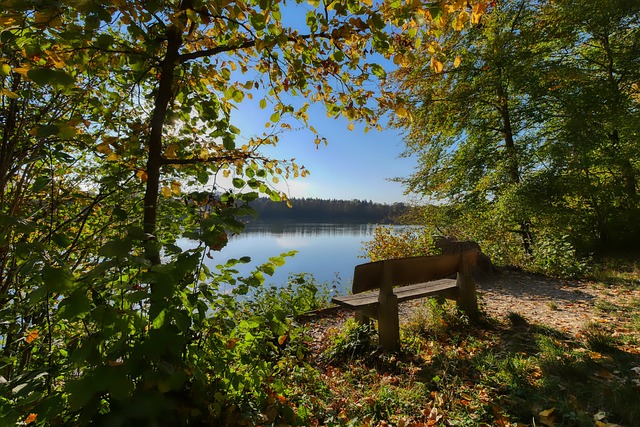 仅关乎晋级 仅关乎晋级